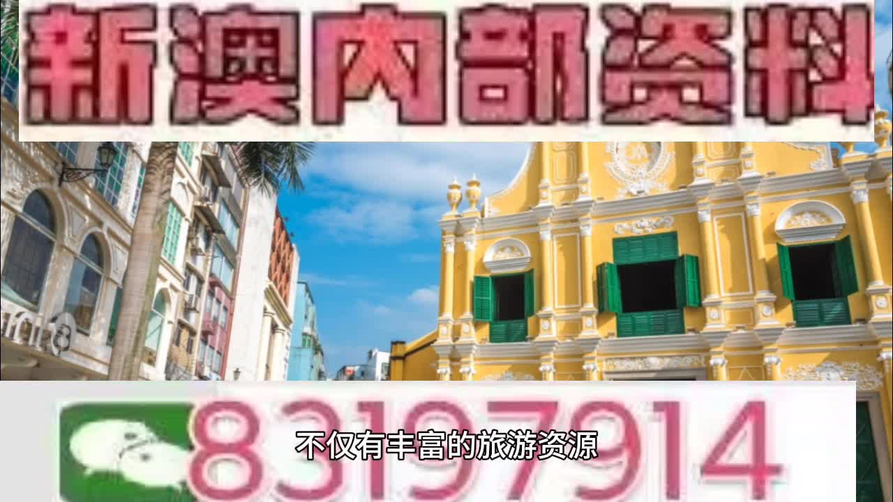 2025年新澳门天天免费精准大全，详细解答、解释与落实